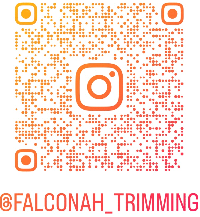 インスタグラムアイコン